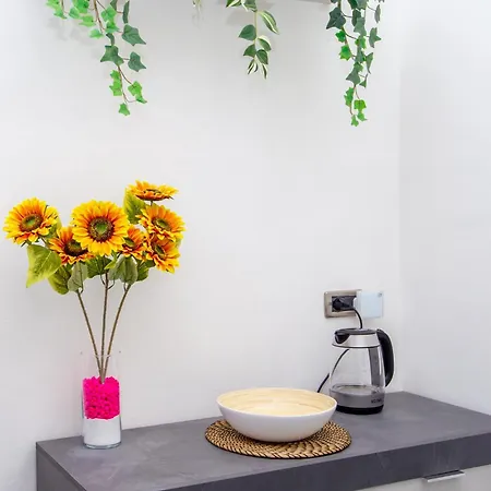 Apartamento Opera Venice *