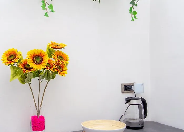 Apartamento Opera Venice *